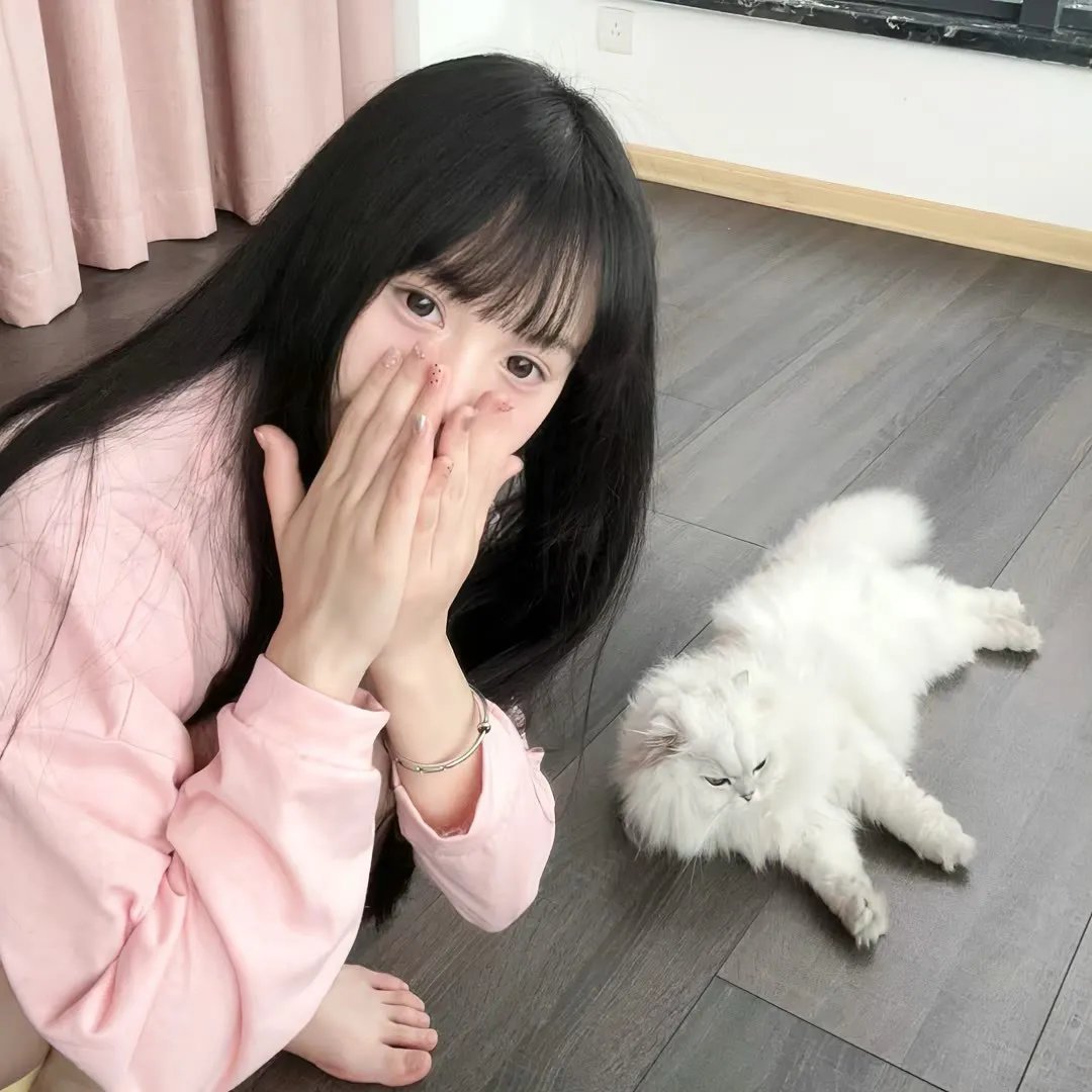大追踪