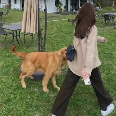 网美嬉游记